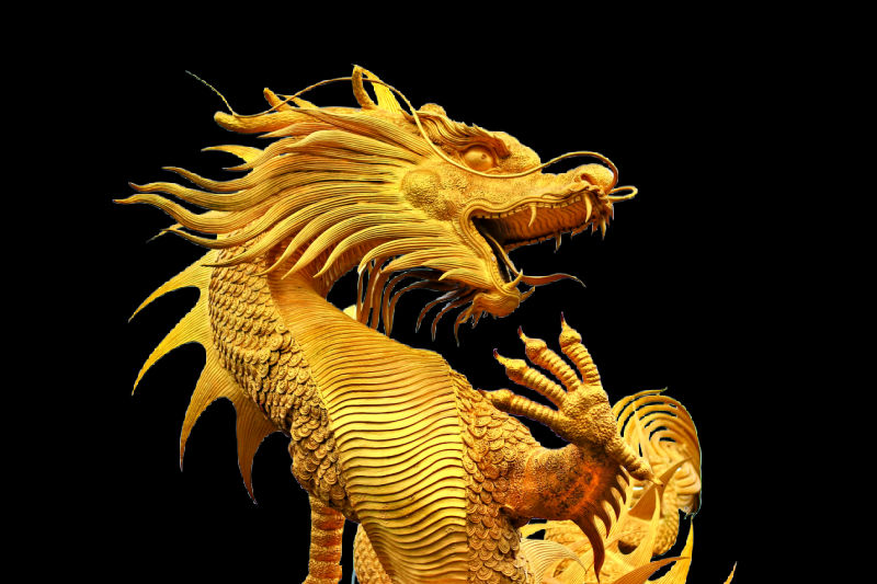gold dragon statue on a black background